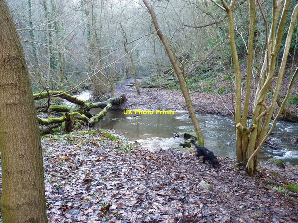 Photo 6"x4" Bridleway ford through the Pontesford Brook Radlith c2011