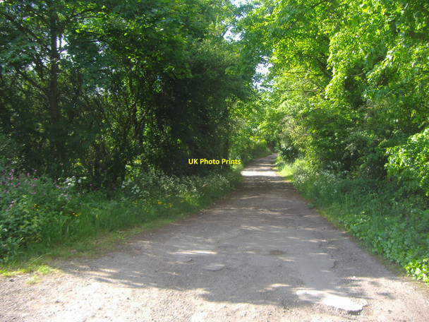 Photo 6"x4" Edgwarebury Lane Edgware c2009