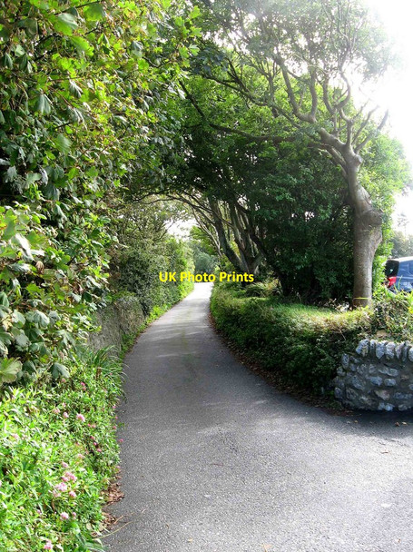 Photo 6"x4" Lane from Rhoscolyn to Borthwen, Rhoscolyn, Ynys Gybi\/Holy Island Rhoscolyn c2010