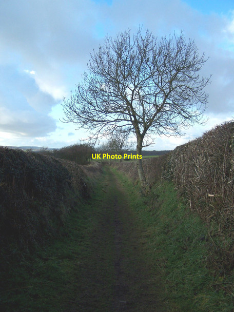 Photo 6"x4" Footpath Near Swynnerton Cotes\/SJ8434 c2011