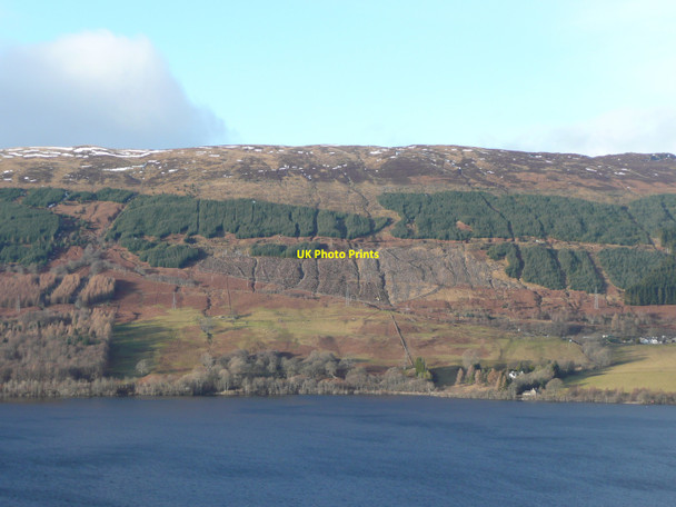 Photo 6"x4" Forest clearing north of Loch Tay Fearnan c2011