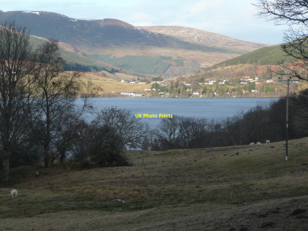 Photo 6"x4" Pasture with sheep Ardtalnaig c2011