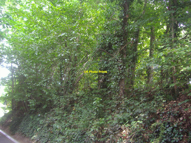 Photo 6"x4" Sandy Lane, Bushey Bushey\/TQ1395 c2009