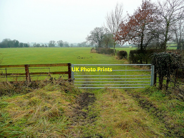 Photo 6"x4" Walmore Common The Flat c2011