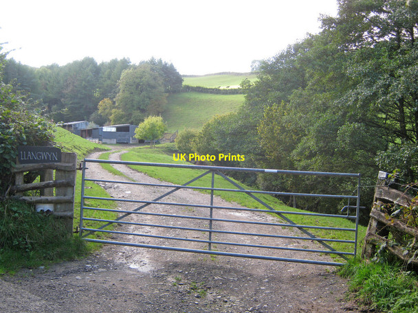 Photo 6"x4" Entrance to Llangwyn Heyope c2010