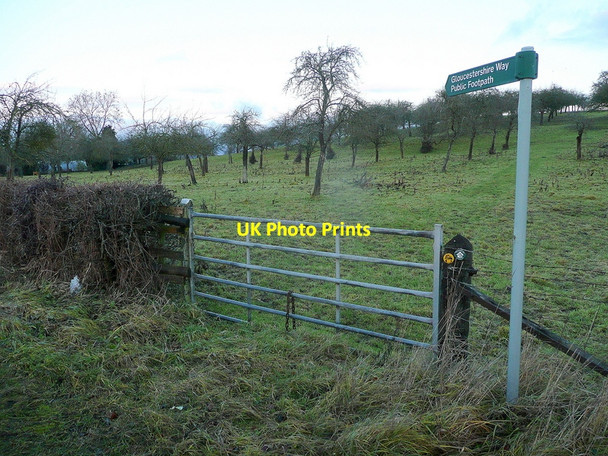 Photo 6"x4" Clay Hill Elmore Back c2011