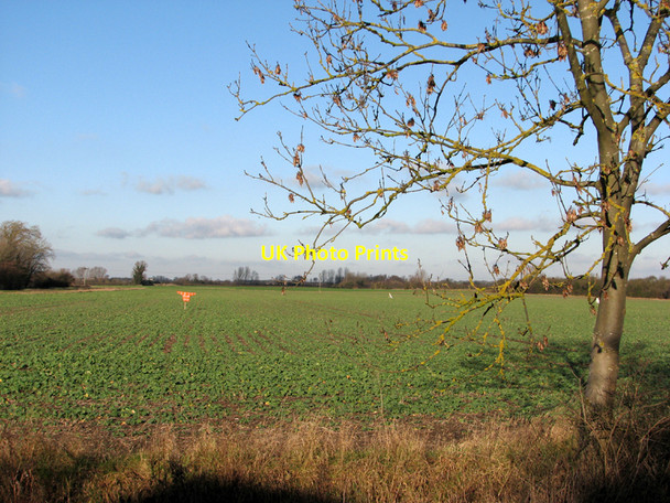 Photo 6"x4" High-visibility scarecrow Frog End\/TL5358 c2011