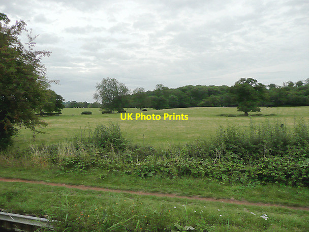 Photo 6"x4" Pasture and woodland near Hanbury Hall, Worcestershire Gallows Green\/SO9362 c2010