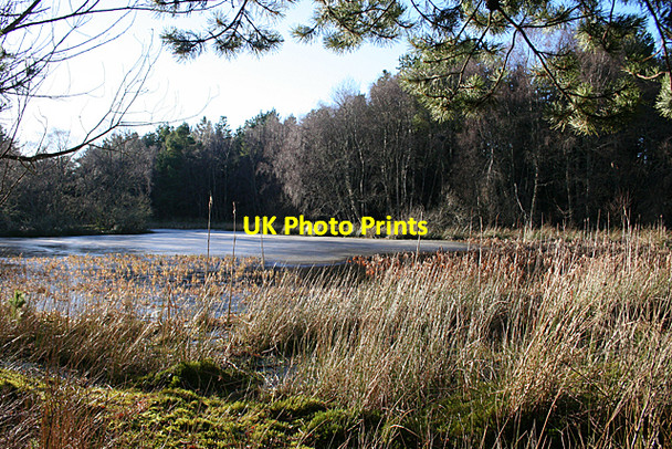 Photo 6"x4" Crannoch Hill Loch Cullen\/NJ5167 c2011