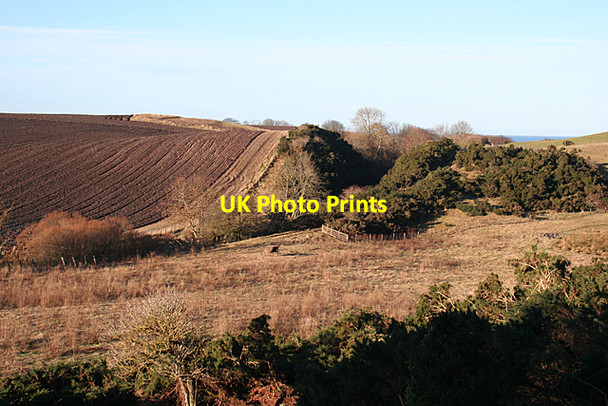 Photo 6"x4" Railway Cutting Cullen\/NJ5167 c2011