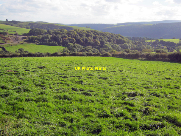 Photo 6"x4" Sheep pasture at Coed-harbour - 1 Llangunllo c2010