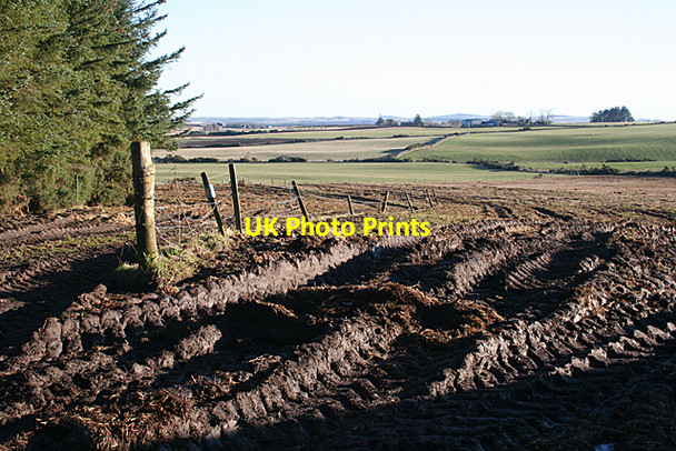Photo 6"x4" Mud, Glorious Mud! Fordyce c2011