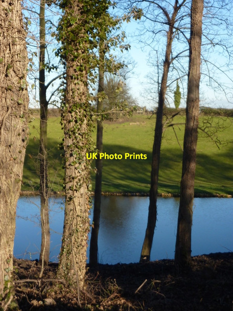 Photo 6"x4" Small lake near Whaley Whaley c2011