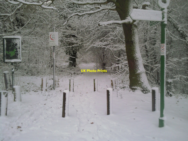 Photo 6"x4" Entrance to Oxleas Wood in snow Bexley c2010