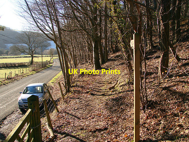 Photo 6"x4" The start of the path through Pand Da nature reserve on a bright, frosty, January day Nantyronen Station c2011