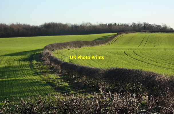 Photo 6"x4" Fields and hedge line towards Scarcliffe Park Whaley c2011