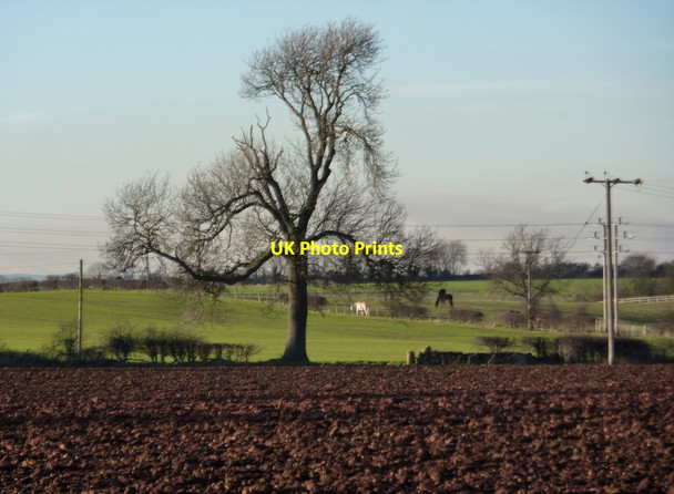 Photo 6"x4" Farmland, Bolsover Moor Bolsover c2011