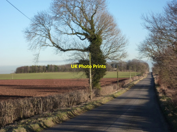 Photo 6"x4" Lane towards Whaley Bolsover c2011