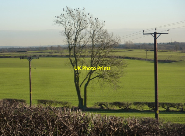 Photo 6"x4" Large fields east of Bolsover Bolsover c2011