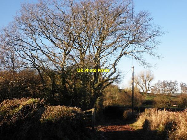 Photo 6"x4" Bridleway to Ford Cowbridge\/SS9542 c2011