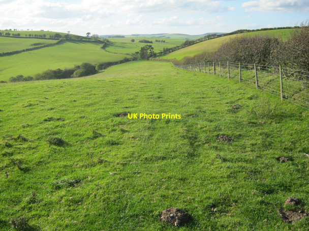 Photo 6"x4" Sheep pasture at Downes's Dingle Garth\/SO2772 c2010