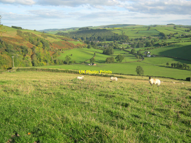 Photo 6"x4" Sheep pasture above Cwm Gilla Garth\/SO2772 c2010