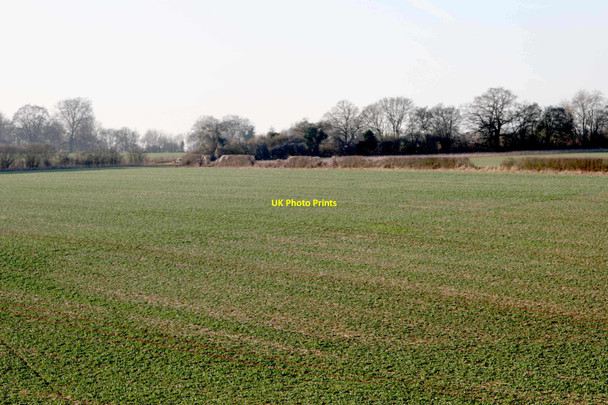 Photo 6"x4" Lynch, Hampshire Lynch\/SU5049 c2011