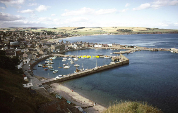 Photo 6"x4" Stonehaven Harbour Stonehaven c1973