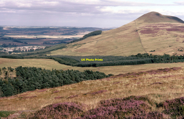 Photo 6"x4" Heather moorland between the two Lomonds Falkland c1978
