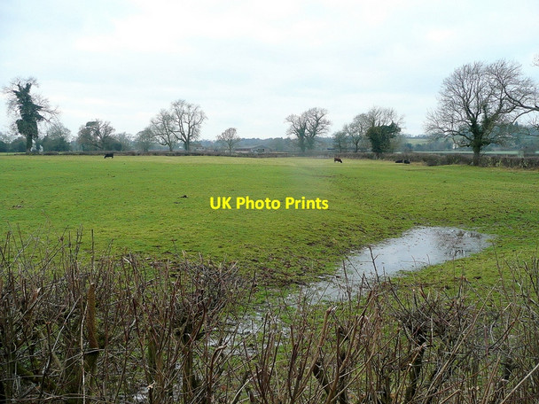 Photo 6"x4" Waterlogged pasture Itchington c2011