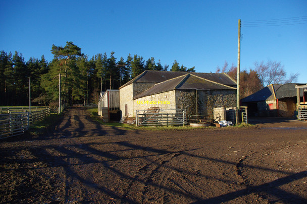 Photo 6"x4" Hepple Whitefield Farm Hepple c2011