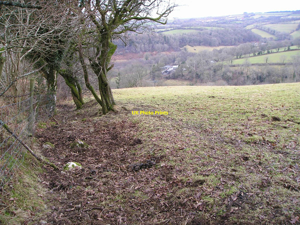 Photo 6"x4" Field edge Coed-y-bryn c2011