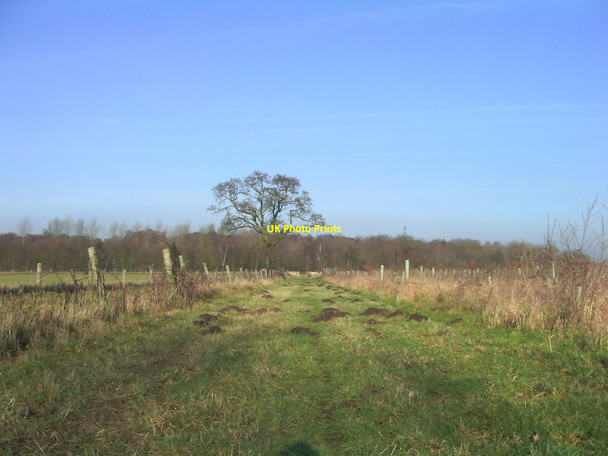 Photo 6"x4" Track leading to Normandy Carr Blackborough\/TF6714 c2011