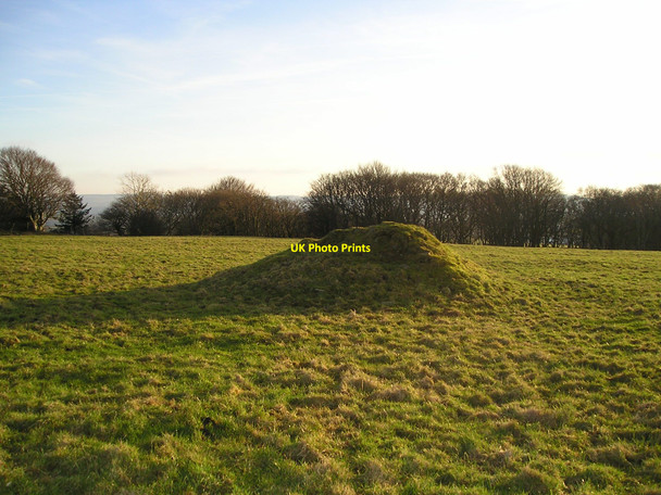 Photo 6"x4" Another tumulus Coed-y-bryn c2011