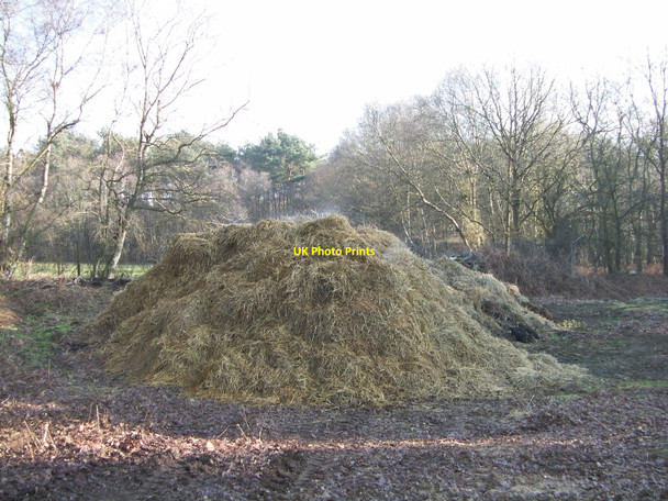 Photo 6"x4" Steaming manure Blackborough\/TF6714 c2011