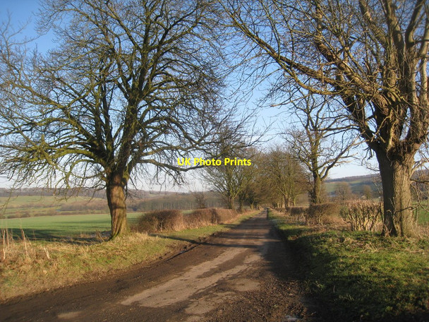 Photo 6"x4" Salents Lane looking towards Picksharp Wood Birdsall c2011