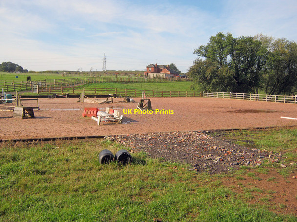 Photo 6"x4" Horse paddocks near Pleasley Park Shirebrook c2010