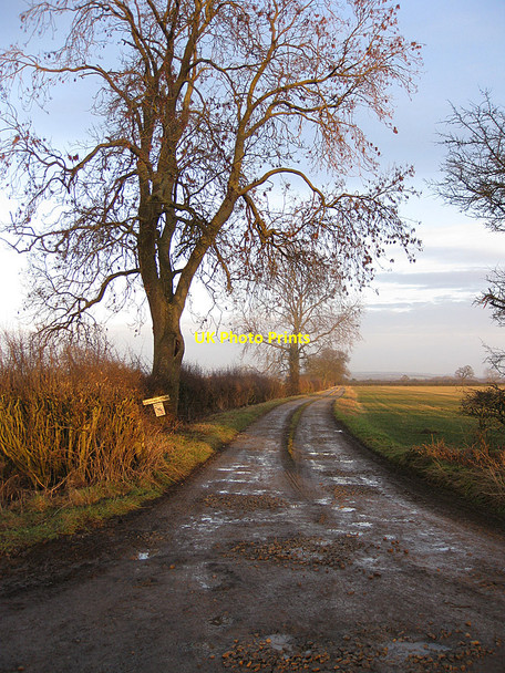 Photo 6"x4" Track to Normanby Manor Normanby\/SE7381 c2011