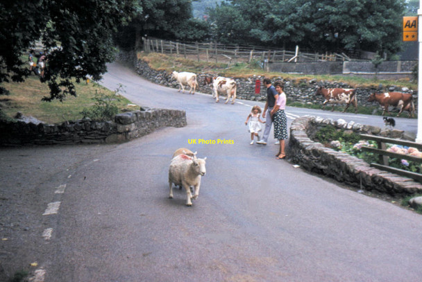 Photo 6"x4" Buttermere - 1983 Buttermere\/NY1717 c1983