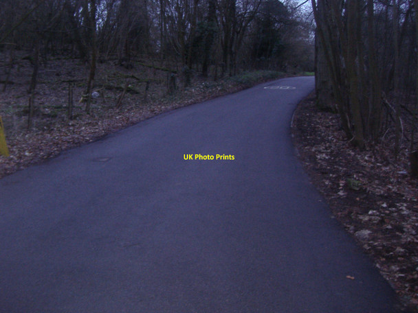 Photo 6"x4" The Drive, Headley Tyrell's Wood c2011