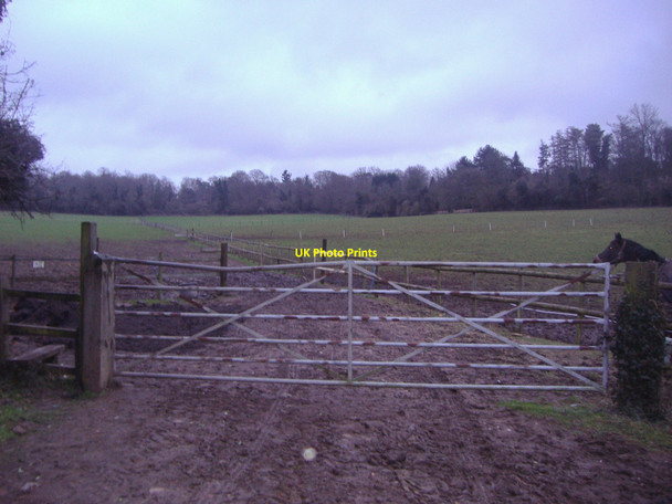 Photo 6"x4" Entrance to field, Headley Road, Tyrrells Wood Leatherhead c2011