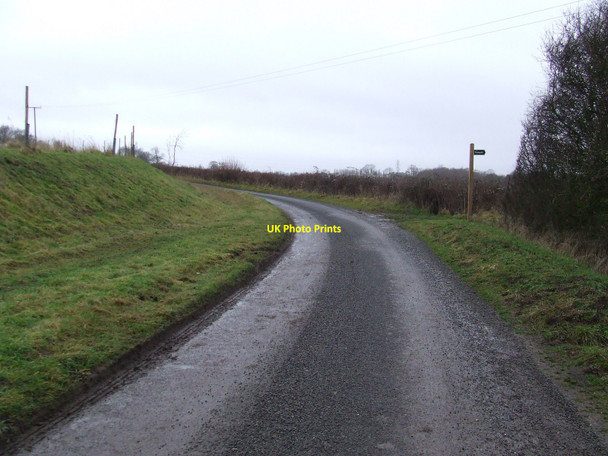 Photo 6"x4" Holly Road And Footpath Offton c2011