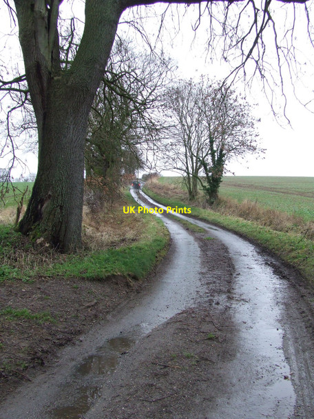 Photo 6"x4" Country Lane Ringshall Stocks c2011 P1