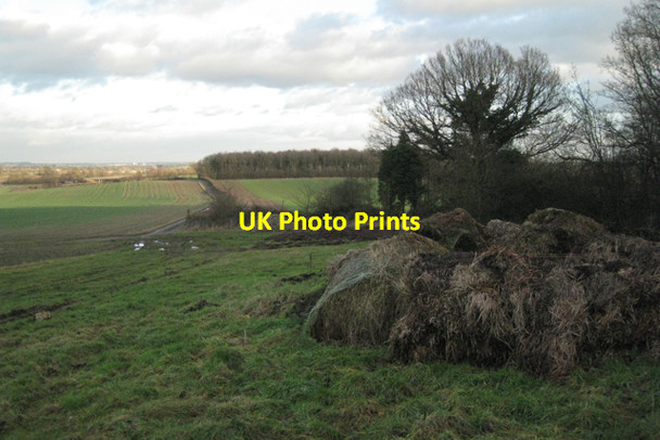 Photo 6"x4" Bridleway past a plantation Littleworth\/SP2363 c2011