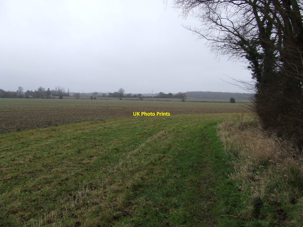 Photo 6"x4" Open Fields Greenstreet Green c2011