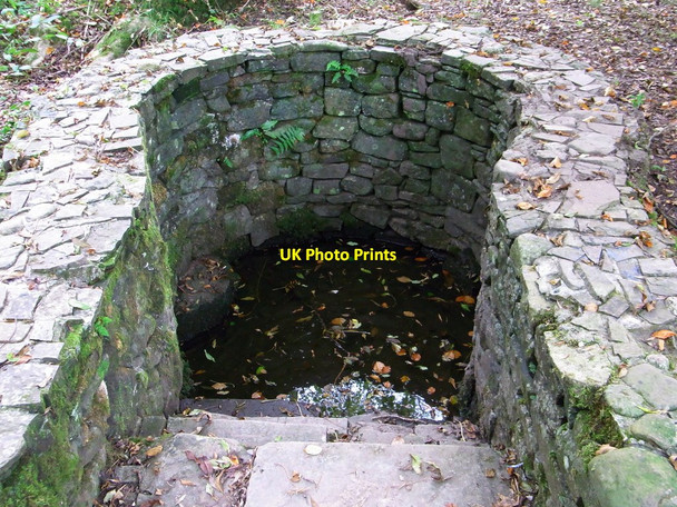 Photo 6"x4" Former Chalybeate Spring Pont Felin G\u00c3\u00a2t Llanarthne c2010