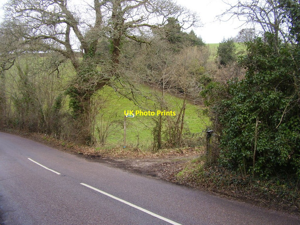 Photo 6"x4" Bridleway to Fire Beacon plantation Coombe\/SY1091 c2011
