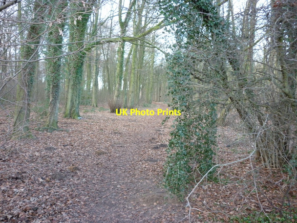 Photo 6"x4" A footpath to Santon Broughton\/SE9608 c2011