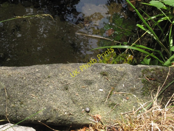 Photo 6"x4" Rivet bench mark on the Ebbing and Flowing Well Settle c2009