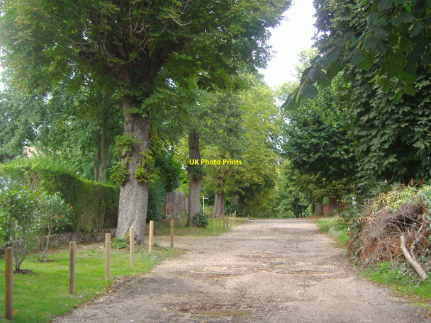 Photo 6"x4" Fitzalan Road, Claygate Esher c2008